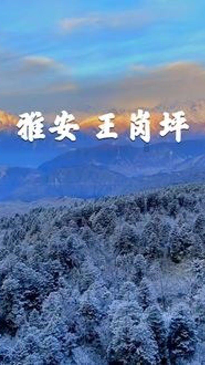 恶灵附身