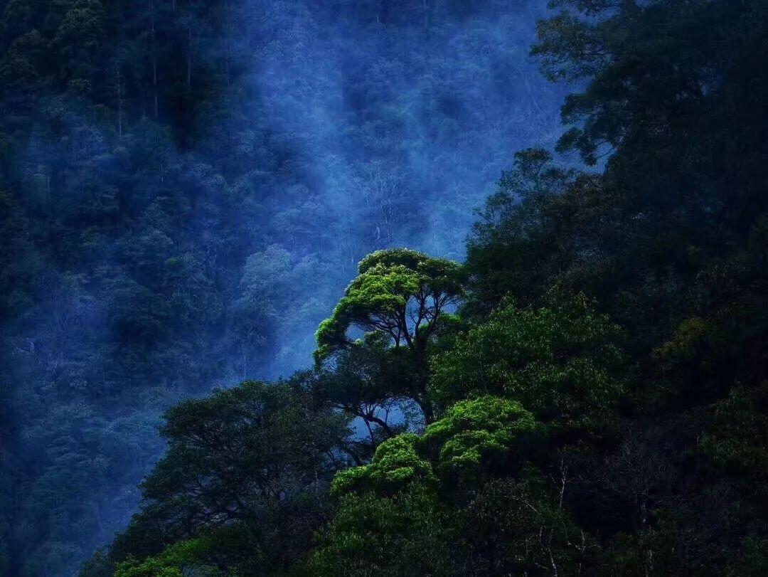 吸血鬼的谜语