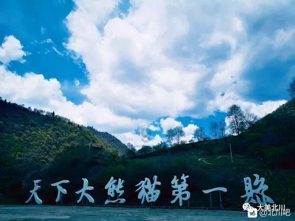 大连一新婚男子报警车内红包“被盗”,民警连夜追查找回礼金