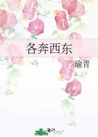 拯救机智男孩