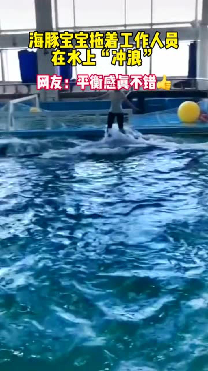 花旗:维持比亚迪股份“买入”评级 目标价463港元