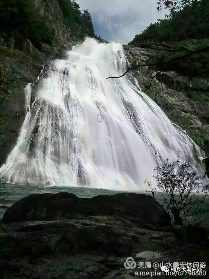 寻找火鸡
